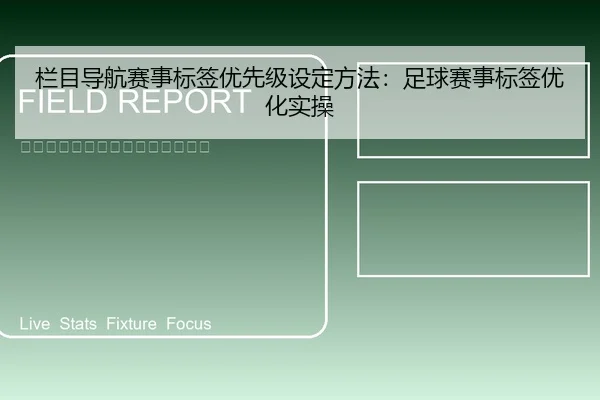 栏目导航赛事标签优先级设定方法：足球赛事标签优化实操